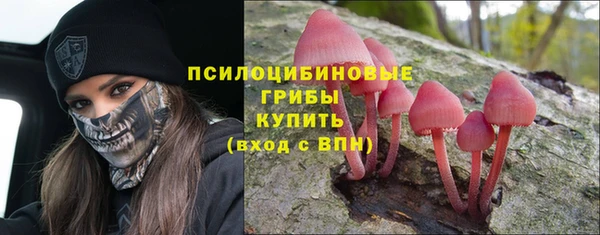 прущий лед Богородск