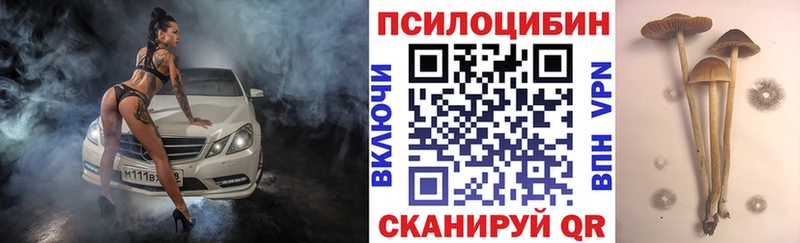 закладки  Коряжма  Псилоцибиновые грибы ЛСД 